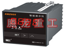 溫度表、數(shù)字顯示儀、濕度表